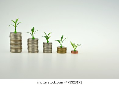 young plant growing from coins.Money Saving Ideas for Businesses and Banks - Shutterstock ID 493328191