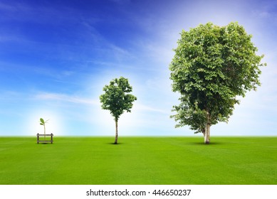 Tree Life Cycle Images Stock Photos Vectors Shutterstock