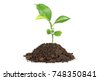 plant soil isolated