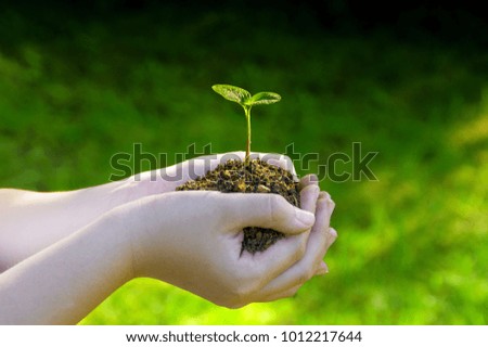 Similar – Image, Stock Photo Dirty boy hands holding small young herbal sprout plant