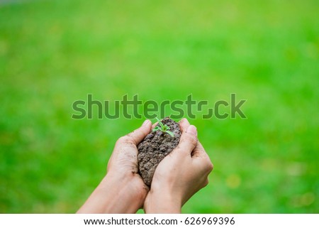 Similar – Foto Bild Ältere Frau, die Kiefernzapfen in den Händen hält.