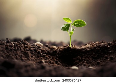 Young plant springing up out of the soil - Powered by Shutterstock