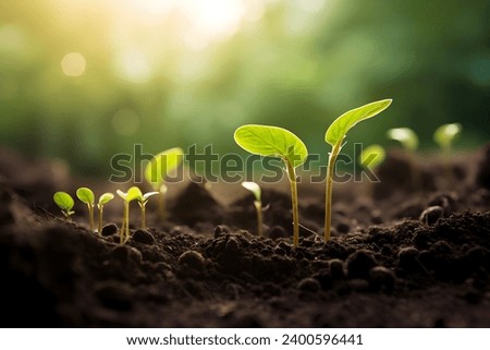 Young plant springing up out of the soil