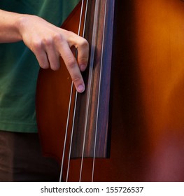 Young Player Playing The Bass With A  Blue Grass Band