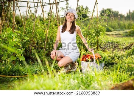 Young positive woman posing with harvest of vegetables in garden, harvesting season
