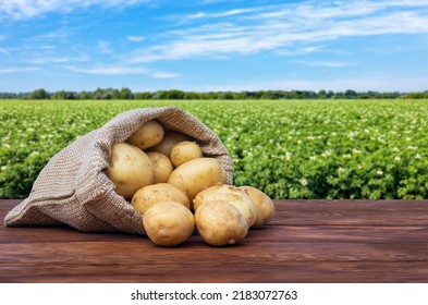 young potatoes in burlap sack on wooden table with blooming agricultural field on the background - Shutterstock ID 2183072763