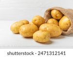 Young potatoes. Fresh potatoes on a wooden background. potato in burlap sack. Harvesting collection. organic, freshly dug potatoes. Agricultural background. Vegan. Vegetables.Place for text.Copy space