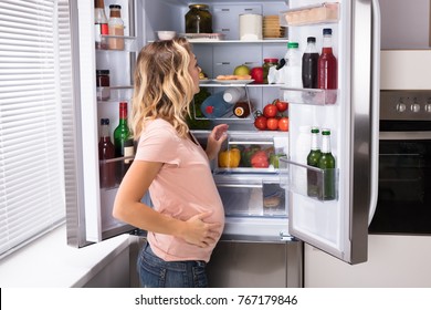 Young Pregnant Woman Looking For Food In Refrigerator