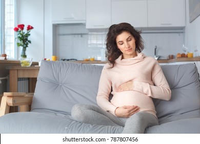 Young pregnant woman on the sofa at home maternity concept tenderness