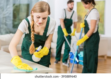 51,359 Polish cleaning Images, Stock Photos & Vectors | Shutterstock