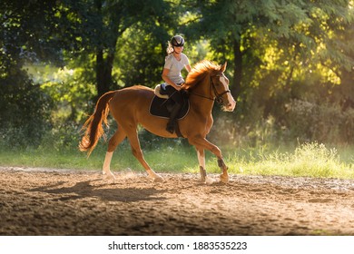 Young pretty girl riding a horse - Powered by Shutterstock