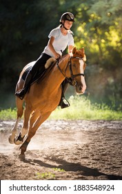 Young Pretty Girl Riding A Horse