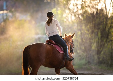 Young Pretty Girl Riding A Horse