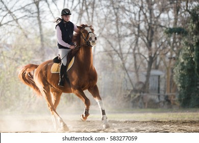 Young Pretty Girl Riding A Horse