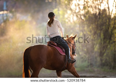 Young pretty girl riding a horse