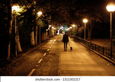 Young Pretty Girl Walking The Dog At Night In Winter