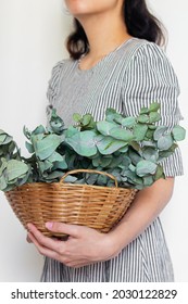 Young pretty woman in striped vintage dress holding a straw basket with an eucalyptus bouquet on white background. Florist minimal concept. - Shutterstock ID 2030122829