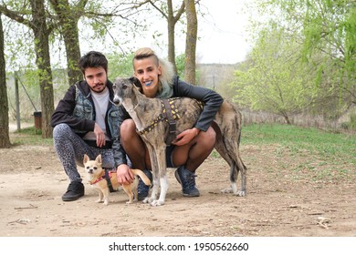 Young Punk Couple With Her Dogs In A Park. Greyhound And Chihuahua Dogs.