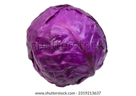 young red cabbage on a white background.  ​​violet vegetable on the table. salad cooking concept. illustration of diet food. purple cabbage close up.