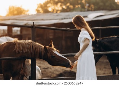 A young red-haired woman strokes a horse in a stable. Girl feeding a horse at sunset. - Powered by Shutterstock