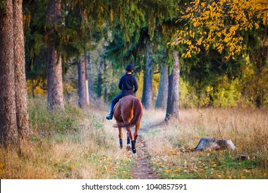 Young rider girl on bay horse in the autumn park at sunset. Teenage girl riding horse in park