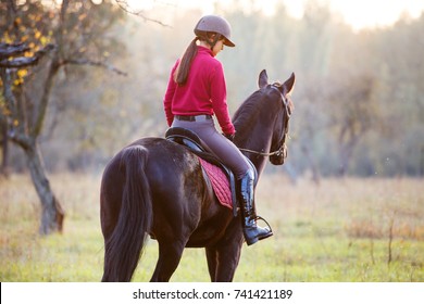 Young rider girl on bay horse in the autumn park at sunset. Teenage girl riding horse in park
