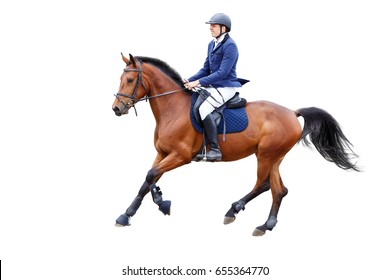 Young Rider Man In Helmet On Bay Horse Isolated On White Background