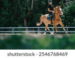 Young rider on a horse in an outdoor arena surrounded by greenery, enjoying horseback riding on a sunny day.