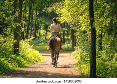 Young rider woman on bay horse in the autumn park at sunset. Teenage girl riding horse in park, shot form behind.