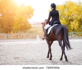 Young rider woman on bay horse performing advanced test on dressage competition. Rear view image of equestrian event background with copy space