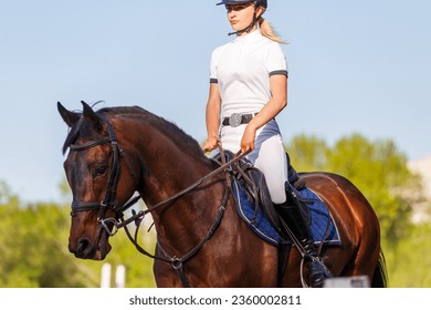 Young rider woman riding bay horse warming up before showjumping competition in the evening