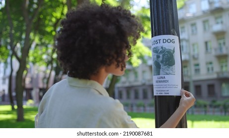 Young Sad Woman Hanging Posters With Missing Dog Photo, Lost Pet, Animal Rescue