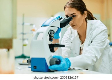 Young science student looking through microscope during her research in laboratory. - Shutterstock ID 2301126157
