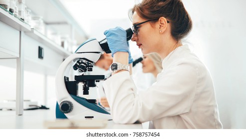 Young scientist looking through microscope in laboratory