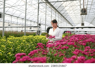 Young scientist with tablet standing between yellow and purple flowers growing on flowerbeds in spacious industrial greenhouse