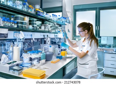 Young Scientist Works In Modern Biological Lab 