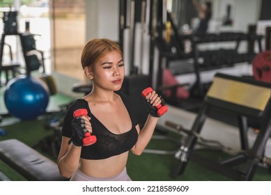 A Young And Sexy Asian Woman Does Seated Dumbbell Hammer Curls On A Flat Bench At The Gym. Wearing A Black Crop Top And Bike Shorts.