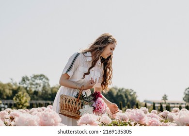 Young Sexy Beautiful Girl Collects Flowers On A Pink Peony Field. Woman On Vacation Roaming The Flower Garden. Leisure Concept. Basket With Flowers