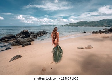 Naked taned girl beach - Nude pics