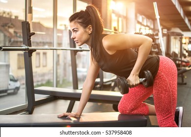 Young sexy woman doing exercises with dumbbell in gym.