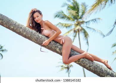 Grace king tanned mature Claire holt in bikini photo