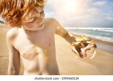 Young Shirtless Boy Holding Crab At Beach