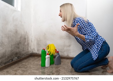 Young Shocked Blonde Woman In Blue Jeans And A Shirt Is Squatting With Cleansers Near A Wall With Black Mold And Screaming. Cleaning Concept