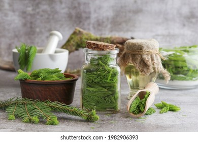 Young shoots of spruce and oil in a glass dish.Ecological preparations. - Shutterstock ID 1982906393