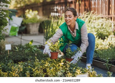 Young skilled woman entrepreneur working in a garden center, holding and arranging flower pots. - Shutterstock ID 2164651289
