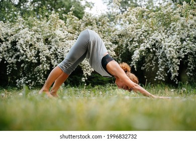 Young Slender Woman Practices Yoga In The Summer In The Park While Standing On The Green Grass. Pose In Yoga Dog Word Down.