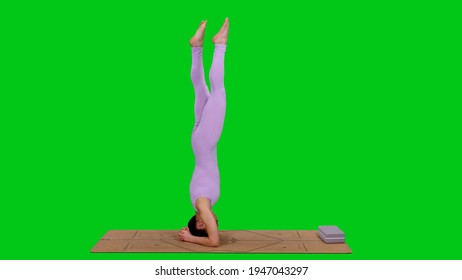 Headstand Gymnastics High Res Stock Images Shutterstock