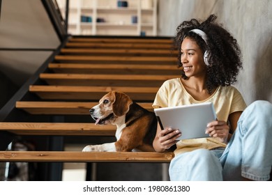 Young smiling african woman in casual wear with beagle puppy at home, sitting on stairs, holding tablet, wearing headphones