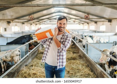 251 Farmer Looking His Cows Images, Stock Photos & Vectors 