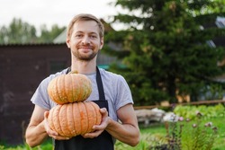 Young Smiling Man Gardener In Apron Is Holding Pumpkins In His Garden. Great Harvest Concept